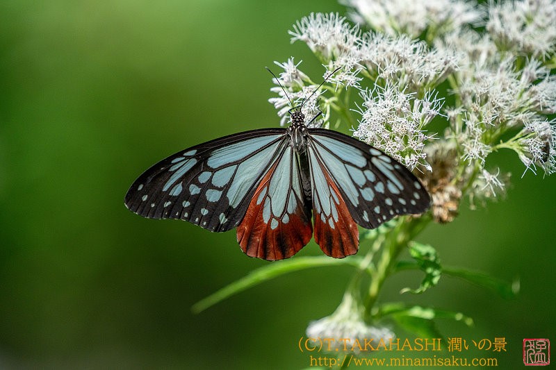 ../Images/7R240801 (31).jpg